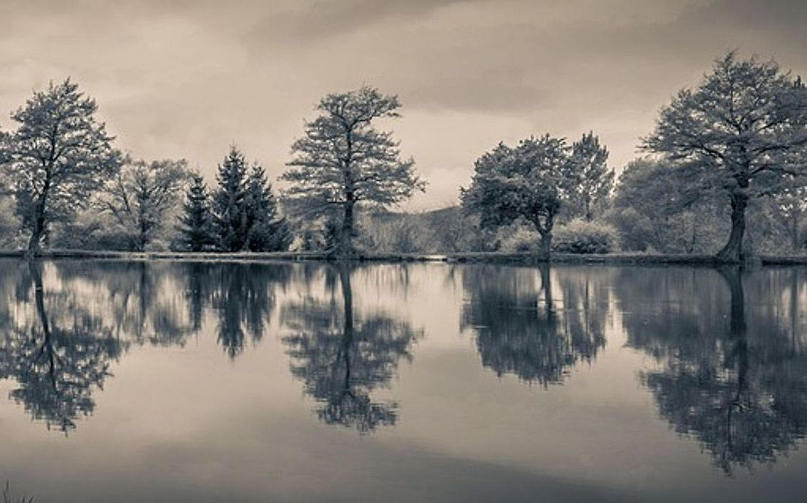 A wooden cabin with a dock overlooking still water and morning mist